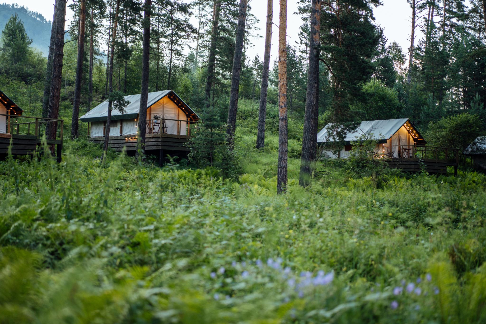 Чепош парк алтай. Чепош парк горный Алтай. Глэмпинг Чепош парк. Отель Чепош парк. Глэмпинг горный Алтай Чемальский район.