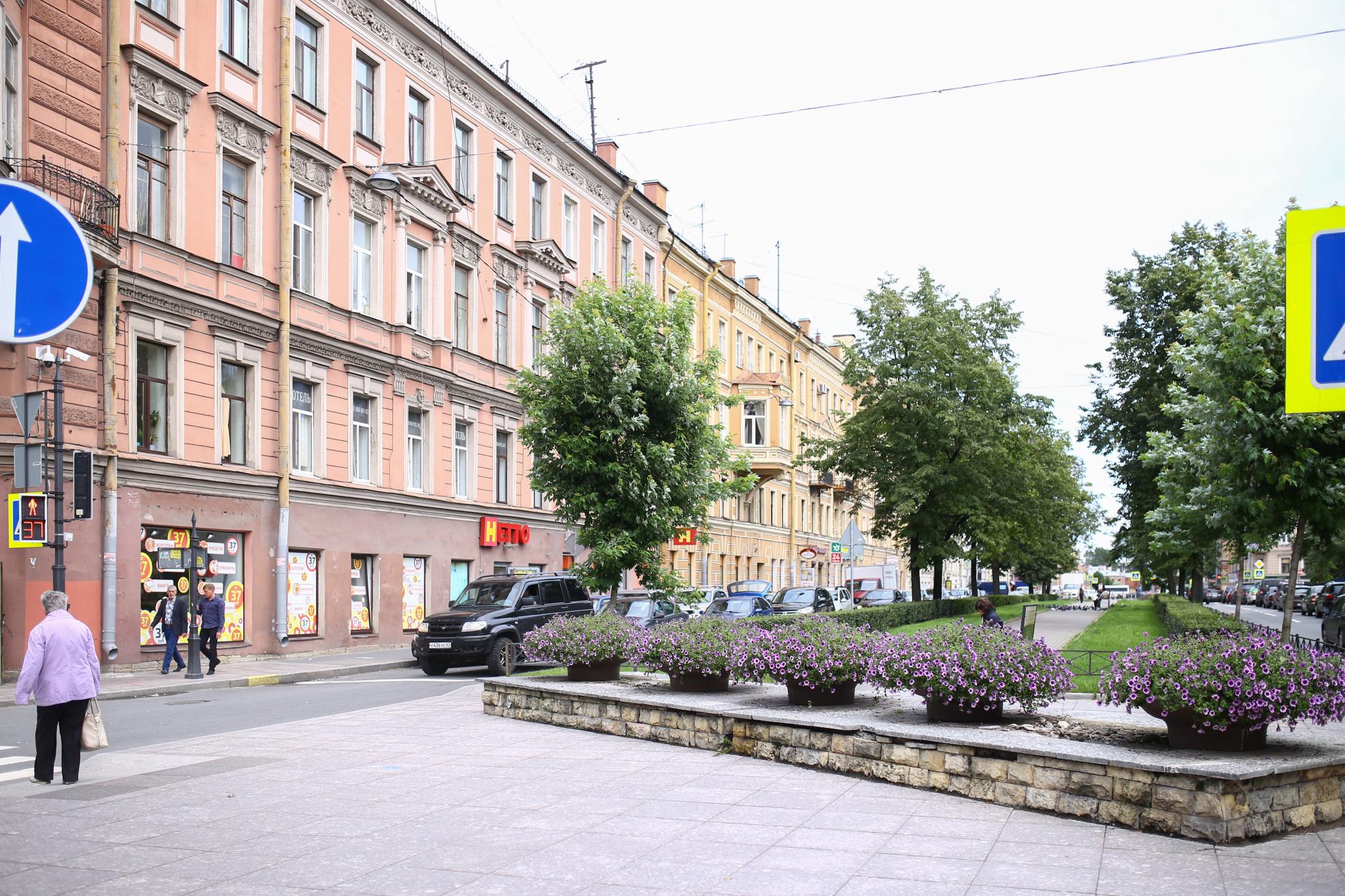 Апарт отель северный ветер. Океан апарт отель санкт-петербург. Крым алушта ревкомовская улица. Гостиница север санкт-петербург. Северный ветер гостиница.