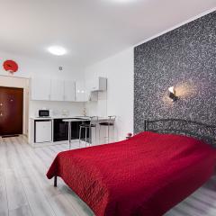 1-комнатные апартаменты улучшенные Красная квартира-студия с 1 большой кроватью