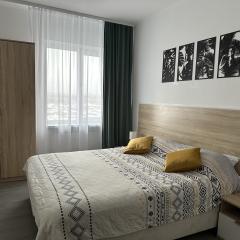 1-комнатные апартаменты студия Квартира-студия с угловой кухней и одной большой или 2-мя раздельными кроватями