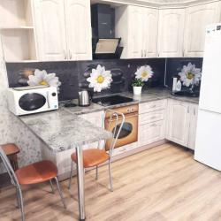 1-комнатные апартаменты студия Тимофея Чаркова д.79к3 с 1 двуспальной кроватью