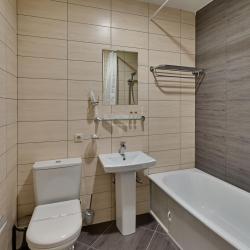 Номер стандарт бизнес с 1 двуспальной кроватью (с завтраком)