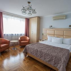Номер стандарт бизнес с 1 двуспальной кроватью (с завтраком)