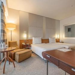 FIT Swiss Business Executive Club Twin Room (с завтраком) (тариф раннего бронирования - за 5 дней и более)