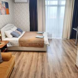1-комнатные апартаменты студия Тимофея Чаркова д.79к3 с 1 двуспальной кроватью