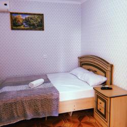 Комната стандарт с 1 двуспальной кроватью (Киви)