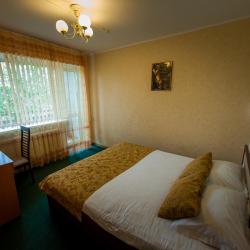Номер комфорт с 1 двуспальной кроватью