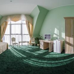 Номер полулюкс с 1 двуспальной кроватью