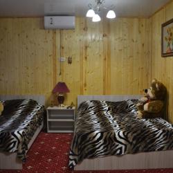 Номер стандарт с 2 двуспальными кроватями, вид на воду (с завтраком)