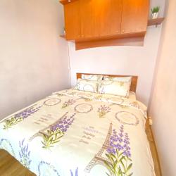 фото 1 Star Group (Стар Групп) на проспекте Московский 224