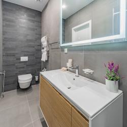 Forest luxury apartments 1 (с завтраком)
