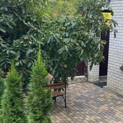 Коттедж стандарт с 2 односпальными и 1 двуспальной кроватью