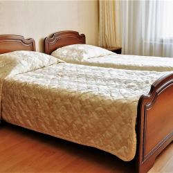 Номер эконом с 2 односпальными кроватями (с завтраком)