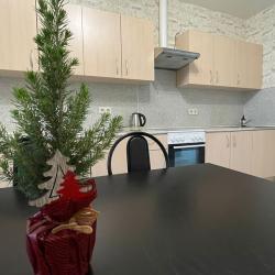 3-комнатные апартаменты улучшенные Москва, Котельники, ул. Сосновая, д. 1к2