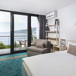 Стандарт улучшенный с двуспальной кроватью и раскладным креслом (YALTA INTOURIST GREEN PARK) (с полупансионом)
