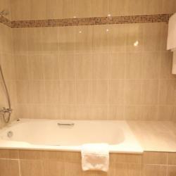 Номер полулюкс (с полупансионом) (корпус SPA)