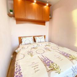 фото 2 Star Group (Стар Групп) на проспекте Московский 224