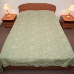 Номер стандарт с 1 двуспальной кроватью (с завтраком) (корпус 7) 3*