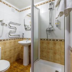 Номер стандарт бизнес с 1 двуспальной кроватью (с завтраком)