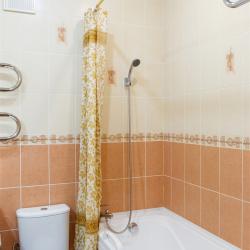 Номер полулюкс с 1 двуспальной кроватью