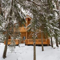 Коттедж апартаменты с 2 двуспальными кроватями Лесной