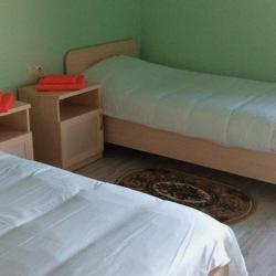 Номер стандарт с 1 двуспальной кроватью (с завтраком)