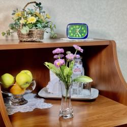 Номер улучшенный стандарт с 2 односпальными кроватями (с завтраком)