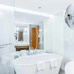 FIT Swiss Business Executive Club Double Room (с завтраком)