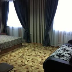 Номер студия с 1 двуспальной кроватью (с пансионом)