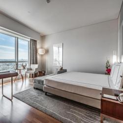 FIT Swiss Business Advantage Double room (тариф раннего бронирования - за 5 дней и более)