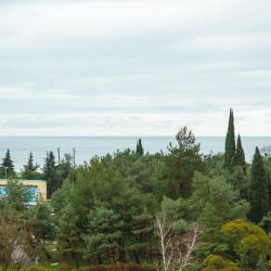 Стандарт с видом на море