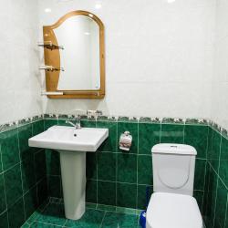 Номер люкс с 1 двуспальной кроватью (с завтраком)