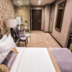Номер стандарт с 1 односпальной кроватью (с завтраком)