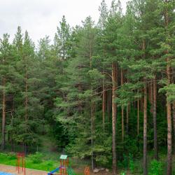 Номер стандарт с 1 двуспальной кроватью (с завтраком)