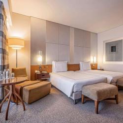 FIT Swiss Business Executive Club Twin Room (с завтраком) (тариф раннего бронирования - за 5 дней и более)