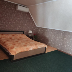 Комната стандарт с 1 двуспальной кроватью (мансарда)