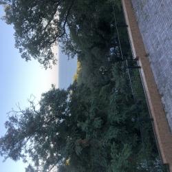Номер люкс с 1 двуспальной кроватью