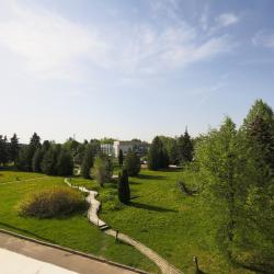 Люкс Амазония (полупансион)