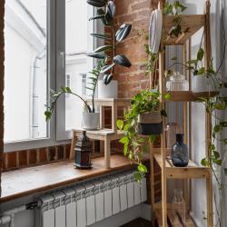 фото 13 MyHome YourHome (МайХоум ЙоХоум) на улице 1-я Красноармейская