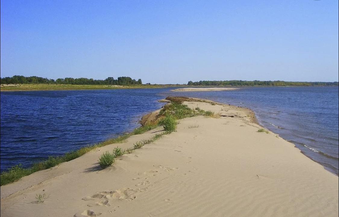 Коса самара. Река Волга Саратовская область берег. Остров середыш на Волге.