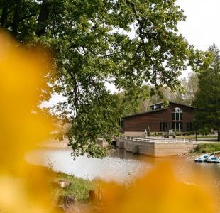 Just WOOD (Джаст Вуд)