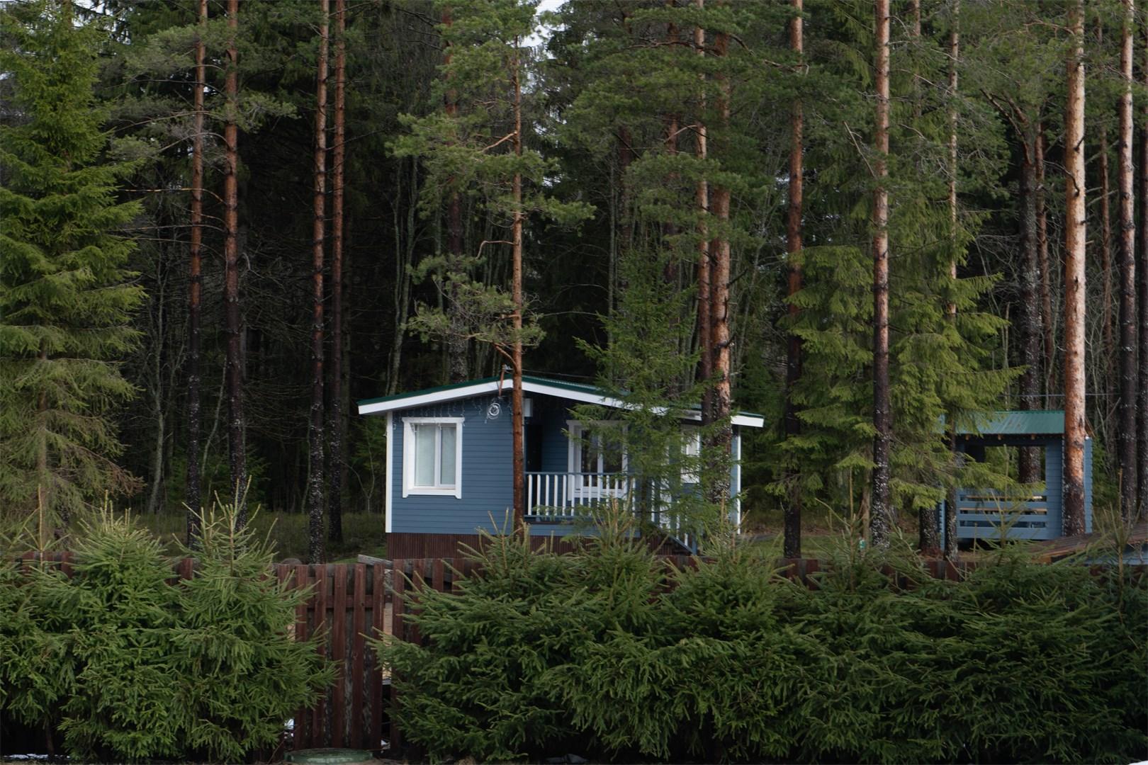 Советская дача. Сальцево ивановская область. Ивановские дачи тула. Клуб друзей дача. Дача ивановых.