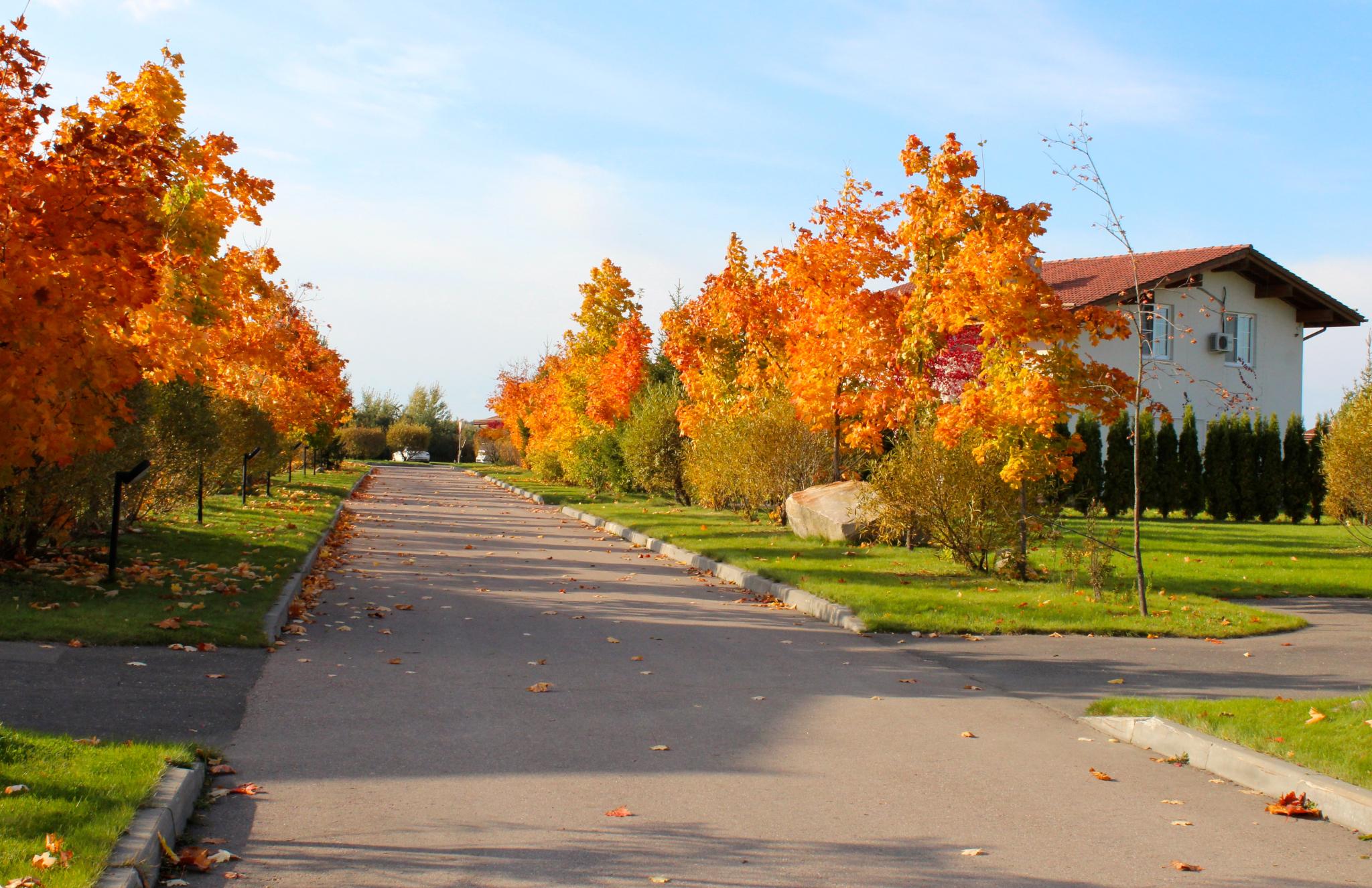 Спас Каменка. Каменка осенью. Осень в коттеджном поселке фото. Осенняя 14.