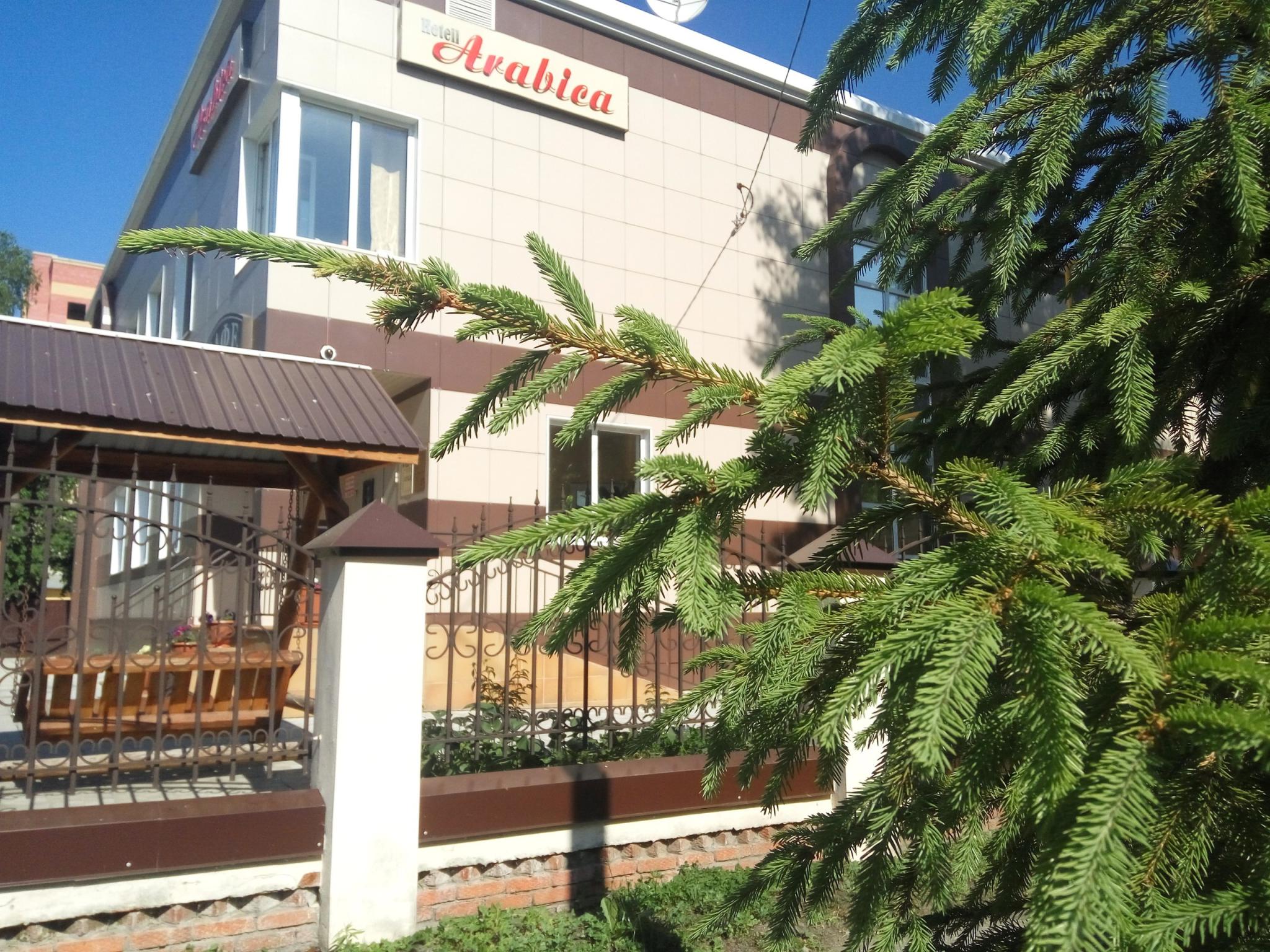 Абхазия пицунда отель арабика